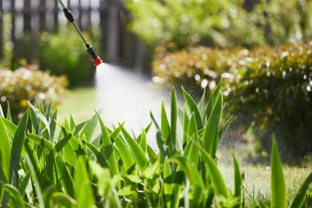 24/7 Emergency Mosquito Control experts in Clarence Center, NY